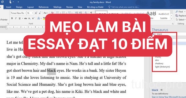 MẸO LÀM BÀI ESSAY ĐẠT ĐIỂM 10